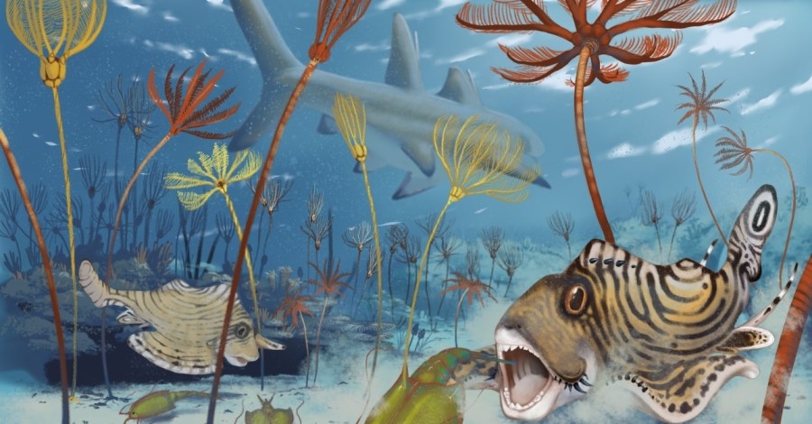 Fossilized ‘Chipmunk Shark' teeth discovered in Mammoth Cave rock layer
