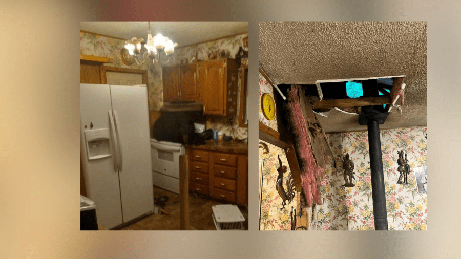 Bear winds up in Kentucky kitchen: How officials say it got there