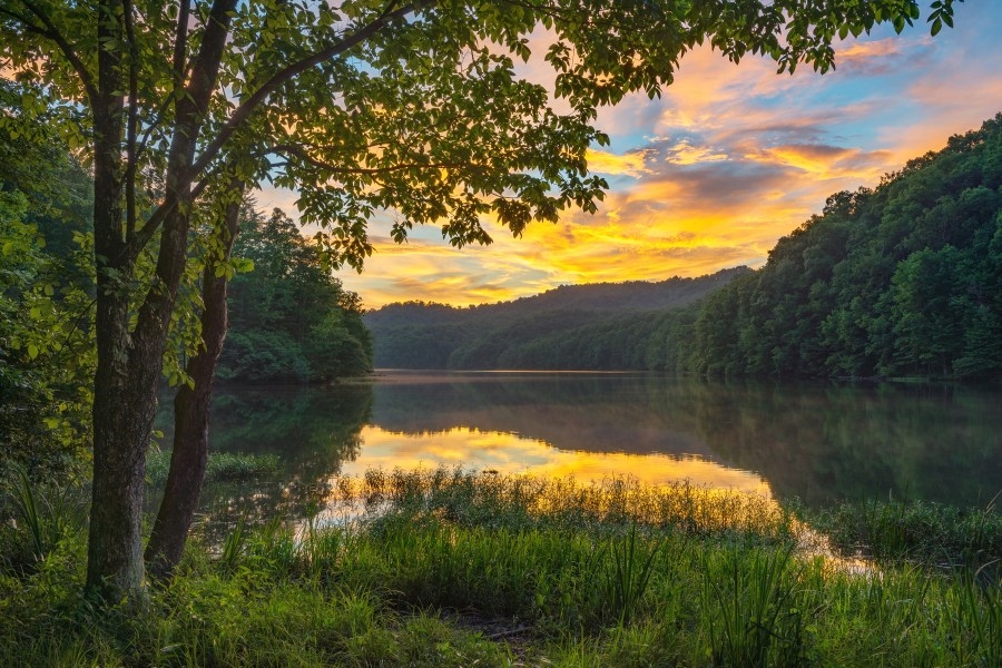 Kentucky sitting near bottom of rankings in environmental protection: Study