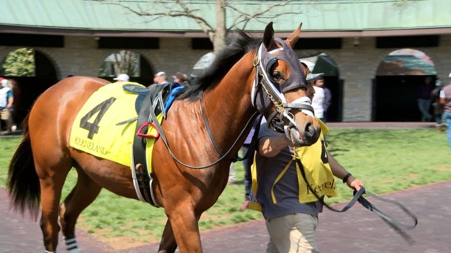 Horse named after Kentucky Wildcat eyes Churchill Downs after Keeneland debut