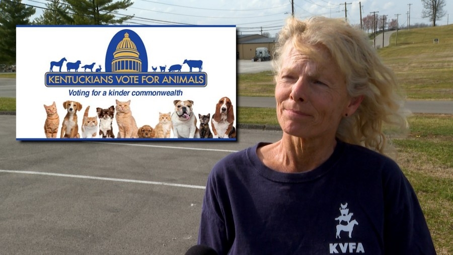 Kentucky animal rights advocates speak out against ‘puppy mill bill'