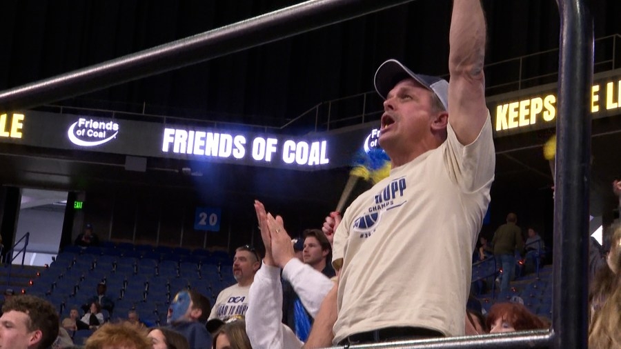 Fans celebrate Danville Christian Academy at the team's first Sweet 16 appearance