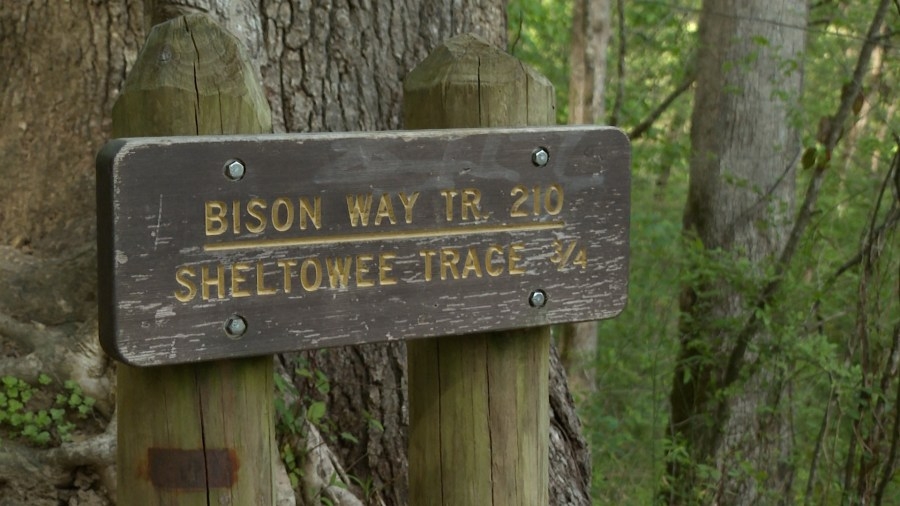 Phone feature helps rescue family lost in Red River Gorge