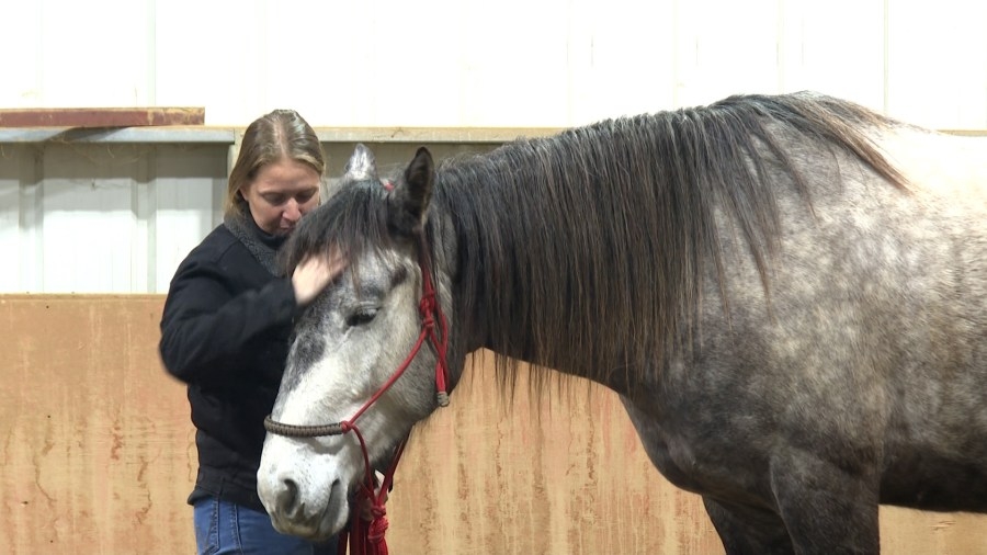 Asbury University students train horses to serve across the nation