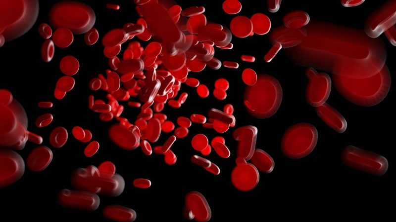 Give Life: donate blood this Easter weekend