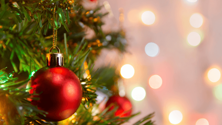 Local nonprofit accepting Christmas ornaments for fall event
