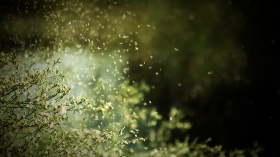 How to get ahead of spring allergy season
