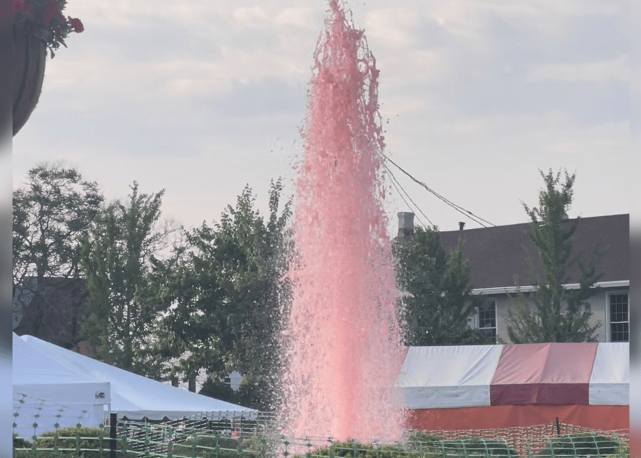 2025 Troy Strawberry Festival theme revealed