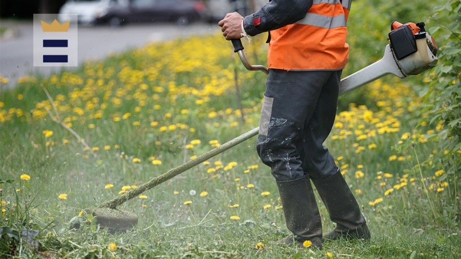 Beavercreek seeks to clarify language of Weed and Grass ordinance