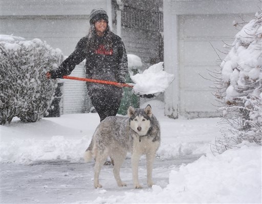 Local woman to be a judge in the 149th Annual Westminster Kennel Club Dog Show