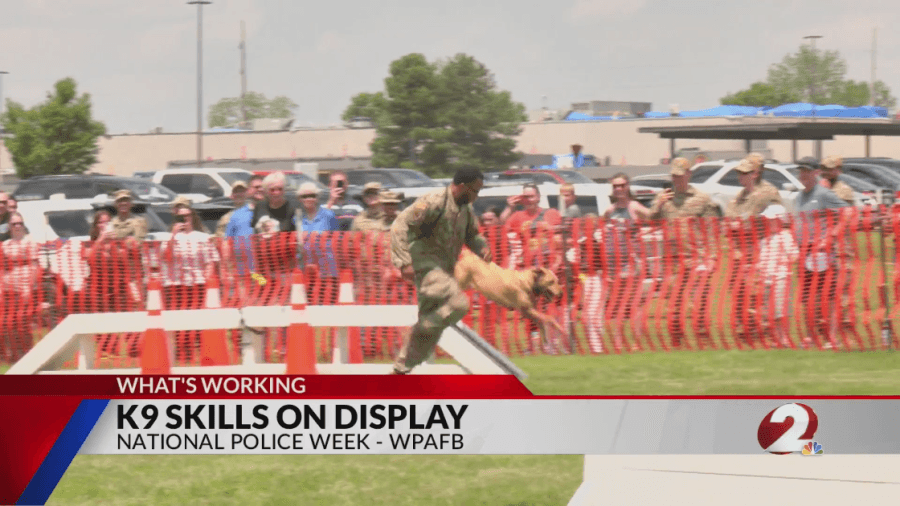 K-9s show off skills during Police Week competition