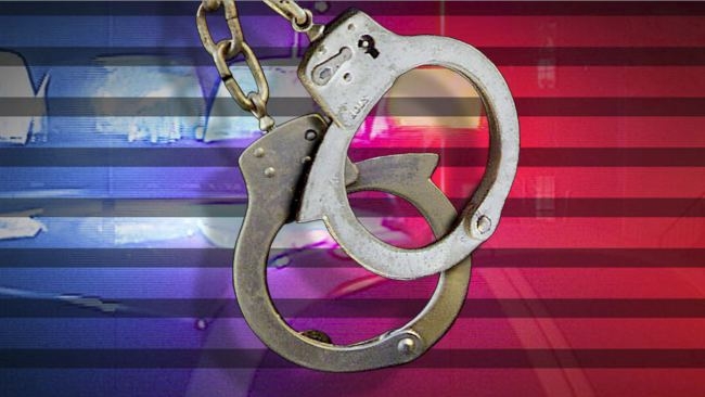 Man plead guilty to fatally kicking dog at boarding facility
