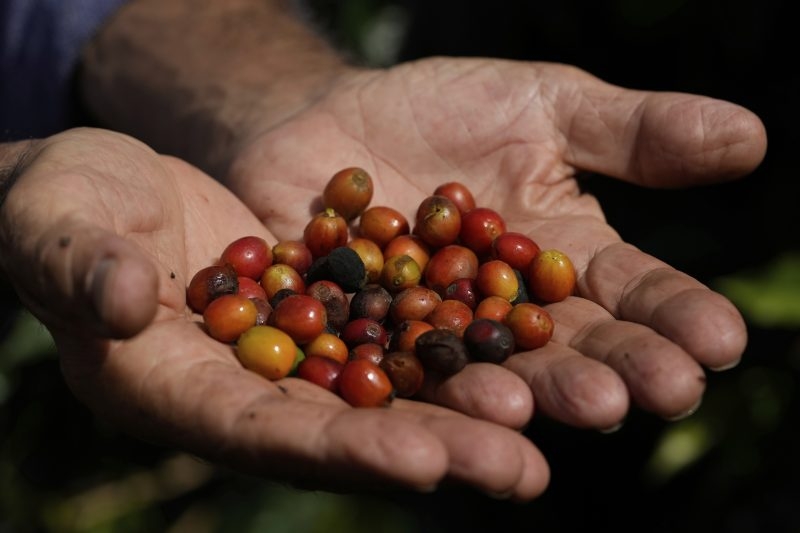 Could the cost of coffee rise due to tariffs?