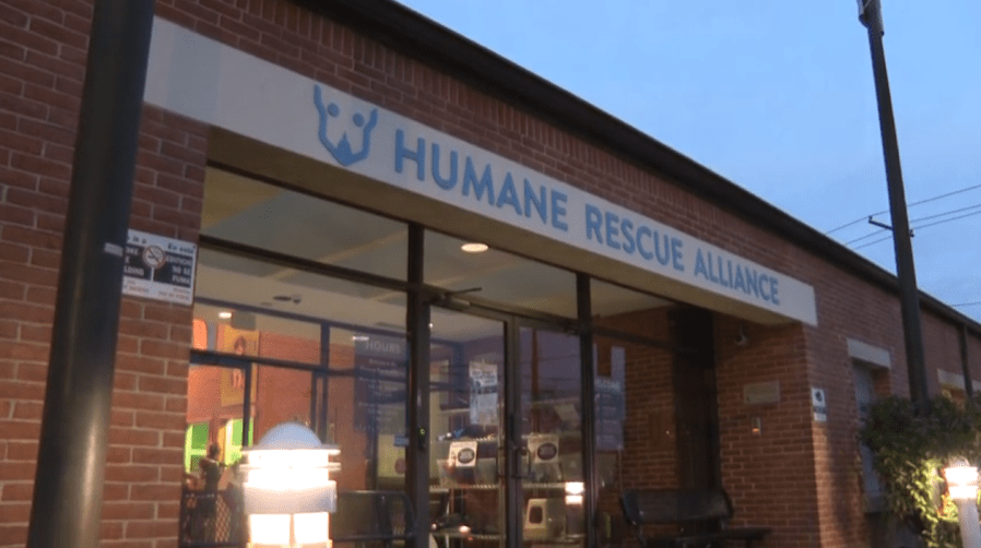 Humane Rescue Alliance warning DC community of scheme targeting lost pet owners