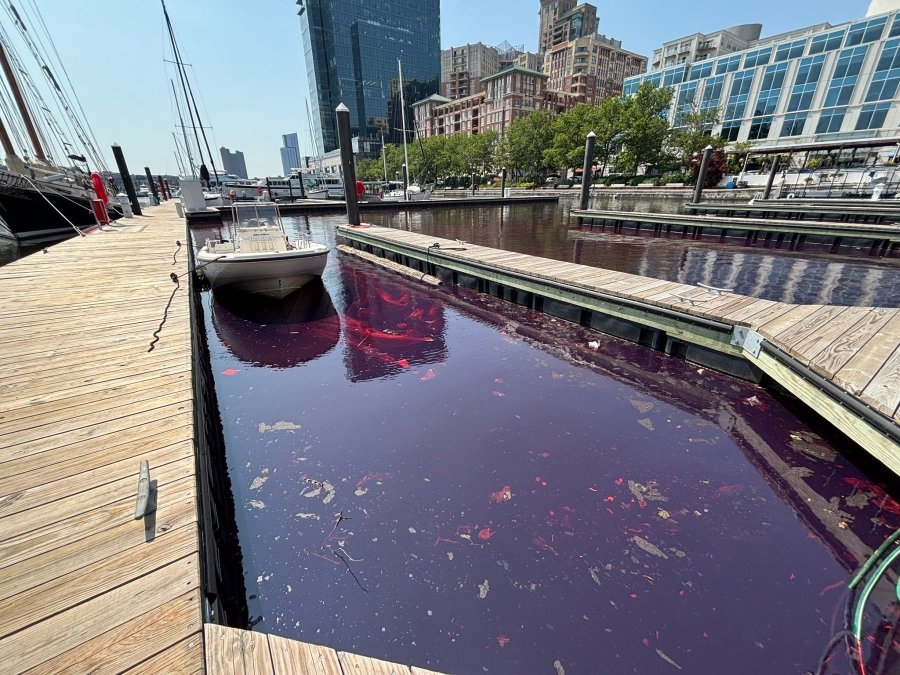 Cleanup underway after 2,000 gallons of diesel fuel leaks in Baltimore marina
