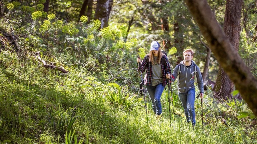 Maryland's Greenbrier State Park requires reservations due to high demand