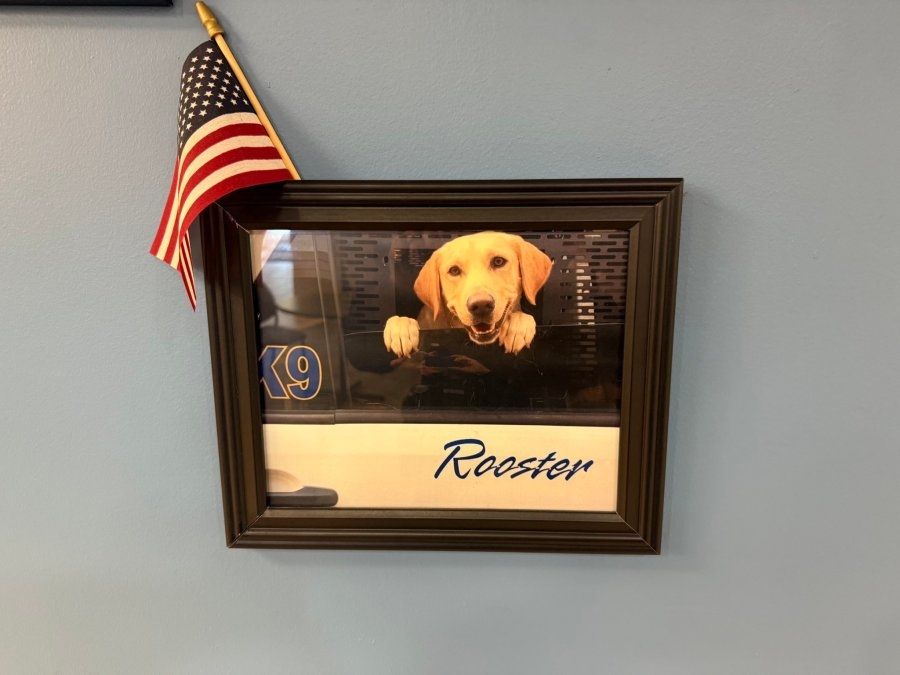 ‘His memory will be cherished': Bowie police mourn loss of department's first K-9