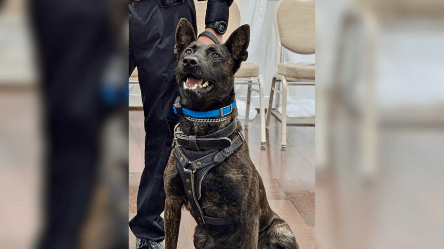 Hyattsville Police Department welcomes new canine officer