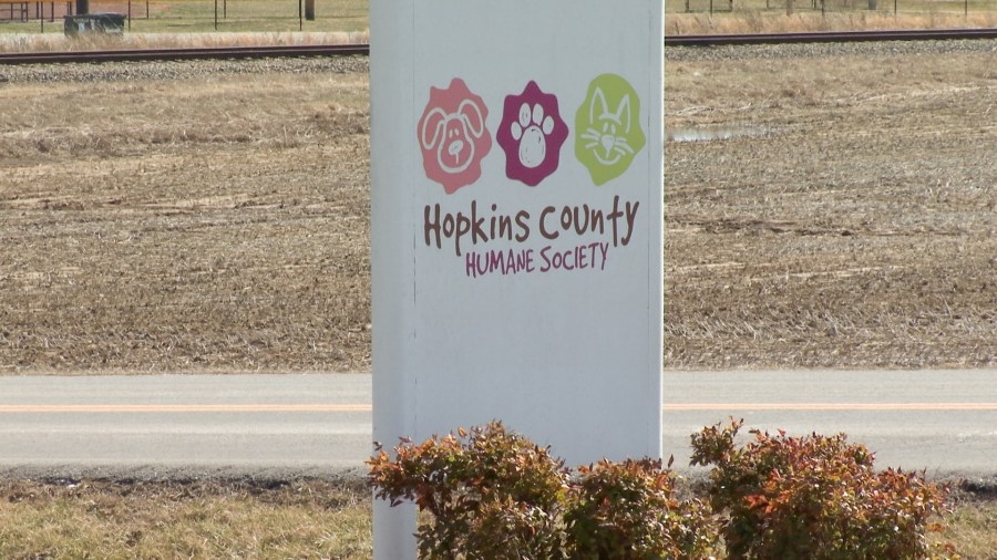 Aggressive dogs related to Tuesday arrest in care of Hopkins County Humane Society