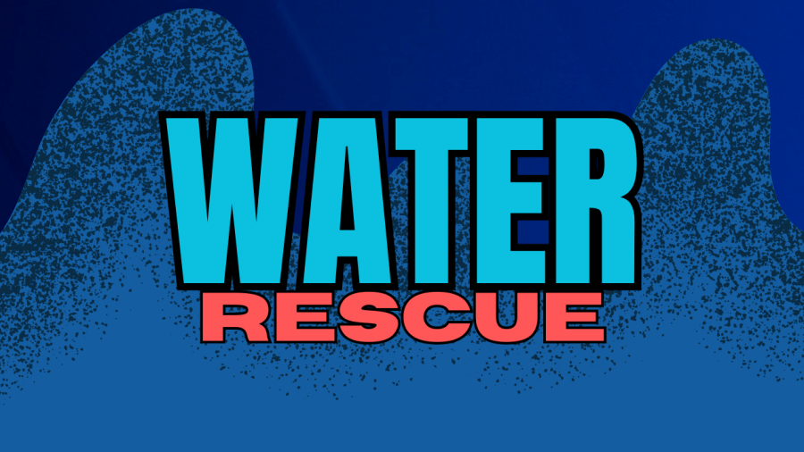 Suspect drowns after allegedly fleeing police