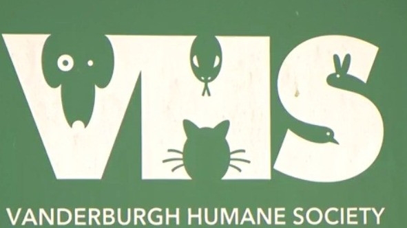 VHS talks about dog aggression after recent dog attacks, gives safety tips
