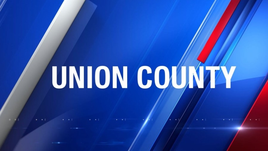 Union County's Sunshine Day to provide accessible environment