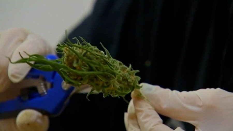 First medical cannabis safety compliance facility breaks ground in KY