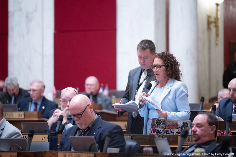 WV House approves homeschool changes, includes addressing parents in child abuse cases