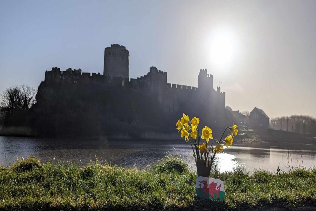 St David's Day celebrated in Pembrokeshire pictures by our readers