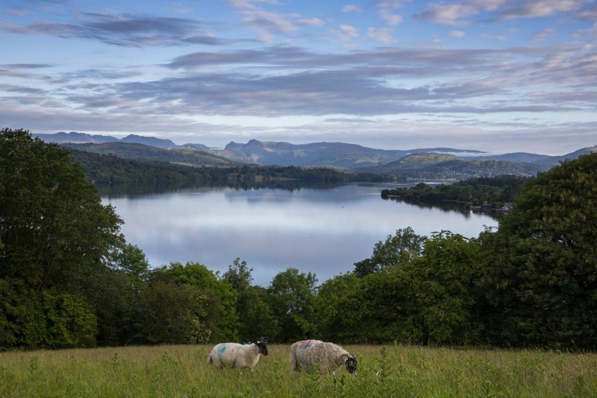Survey reveals ‘poor' summer bathing water quality in parts of Windermere