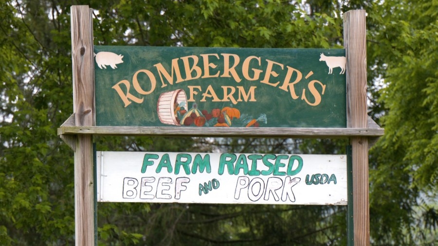 Local farmers struggle to plant due to rainy weather