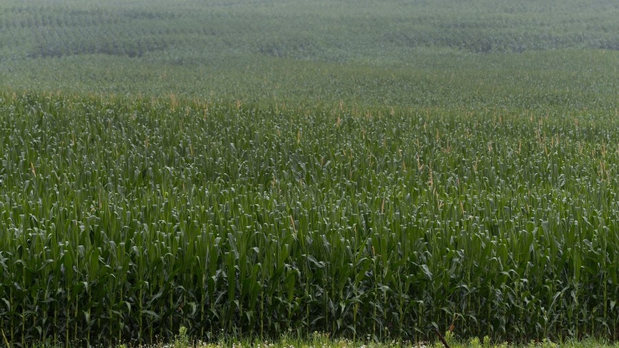 Steuben County farmers can request to join agricultural district