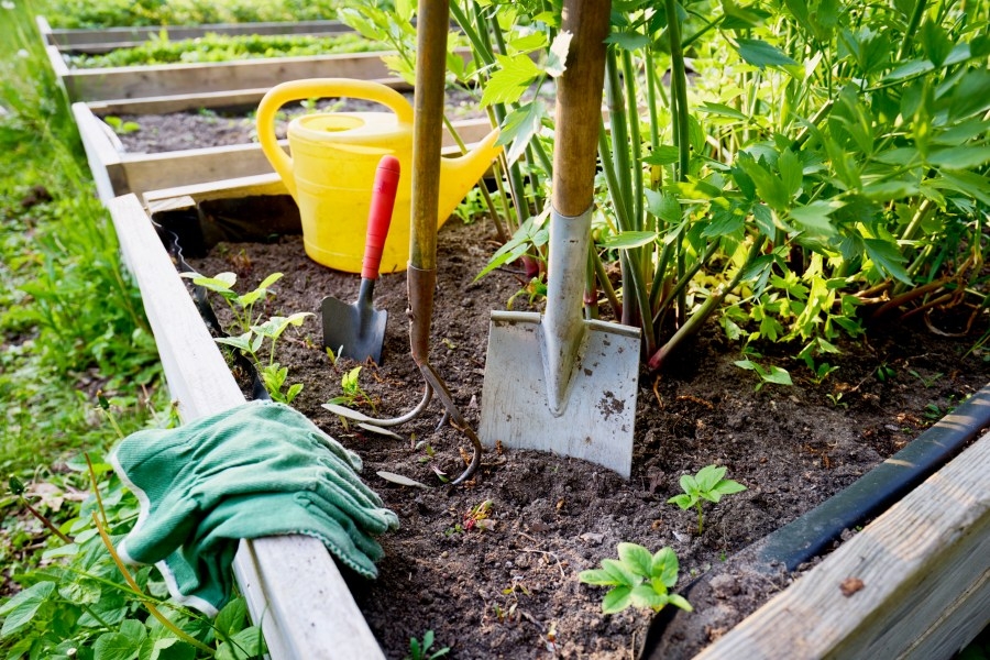 Guns to Garden Tools event to be held in Corning