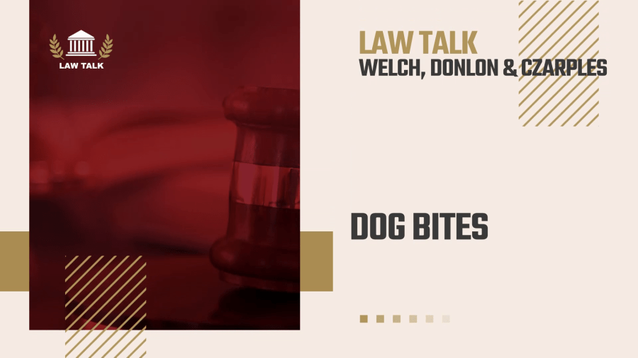 Law Talk: Dog Bites in New York