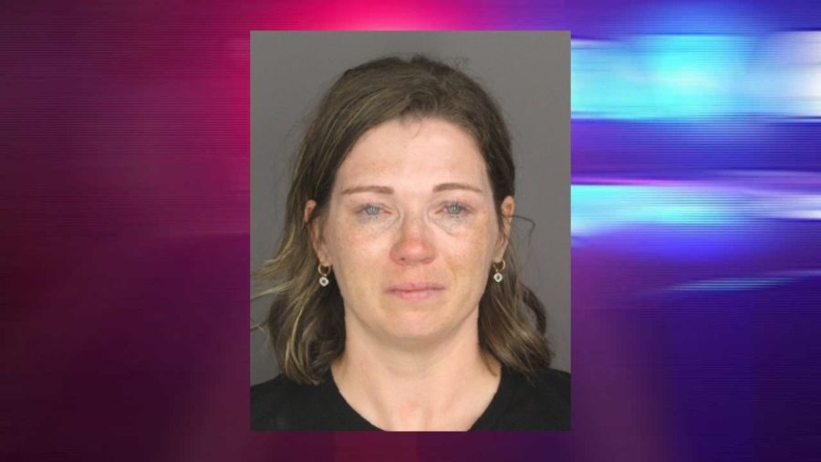 Horseheads School Board candidate arrested after disturbance in Southport