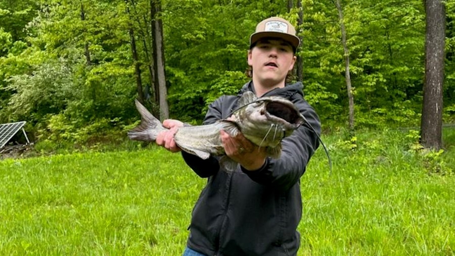 Big Fish Summer – Jack Bieber's catfish from Pine City