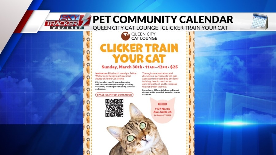 Join Queen City Cats at these upcoming fun, tasty events