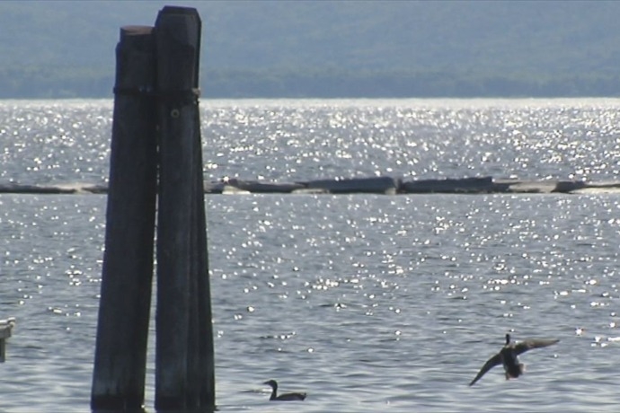 Tips to safely enjoy Vermont's lakes this summer