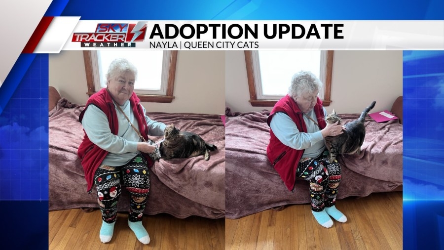 Forever Home: Two 'paw-some' adoption updates