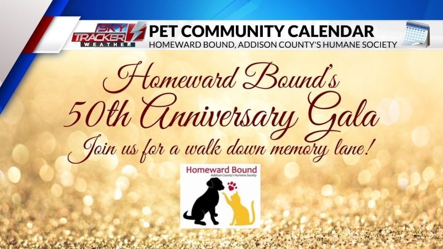 Pet Community Calendar: Check out these new events