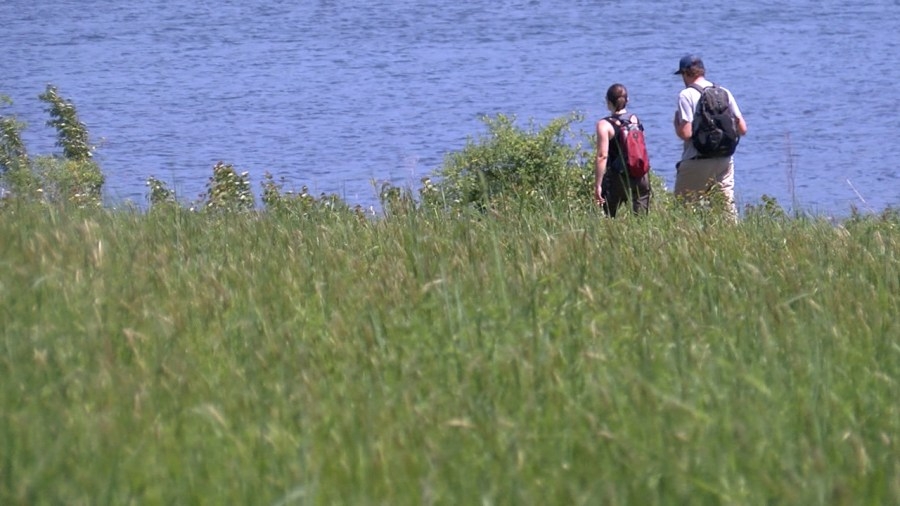 Green Mountain State Forest camping opens this weekend