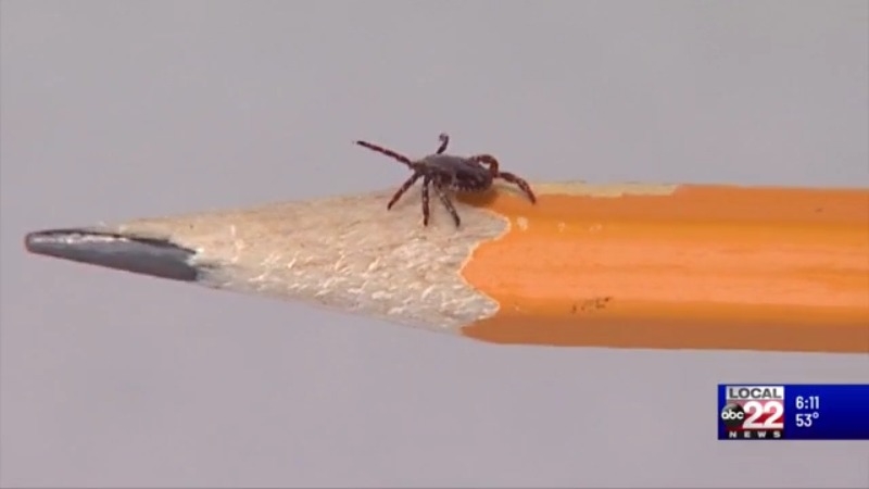 Tick Season Has Arrived