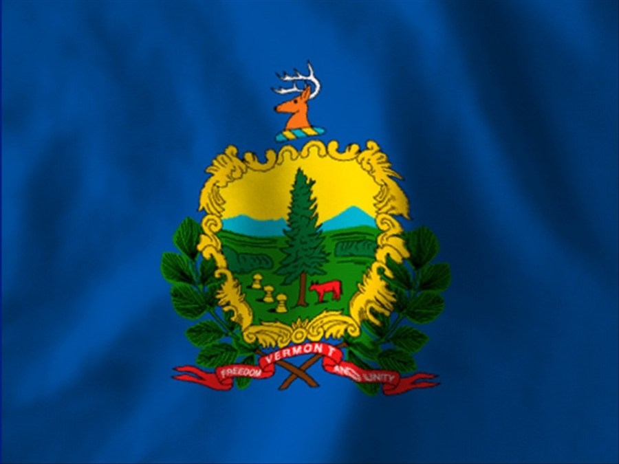 Vermont Progressive Party's director to step down