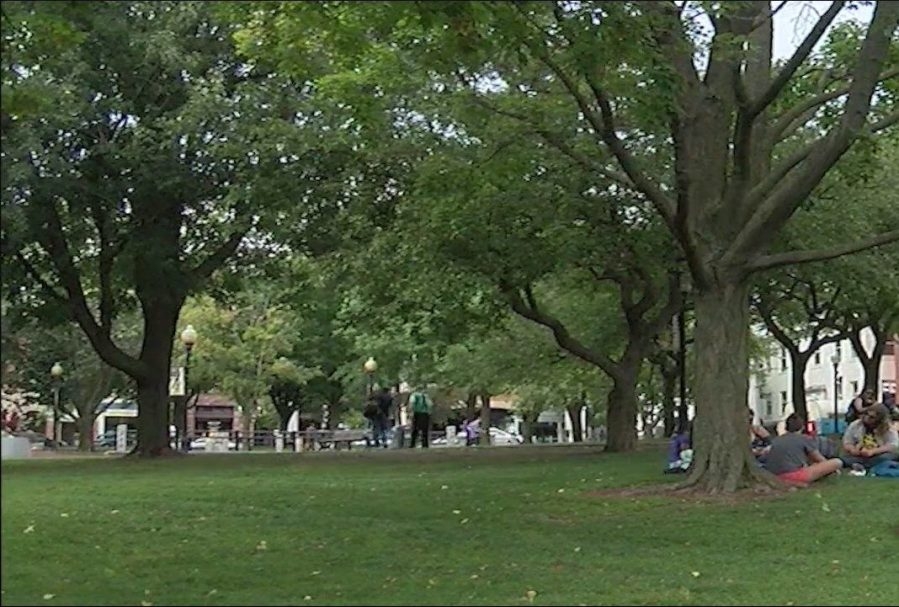 Burlington City Arts kicks off art, concert, film series Friday