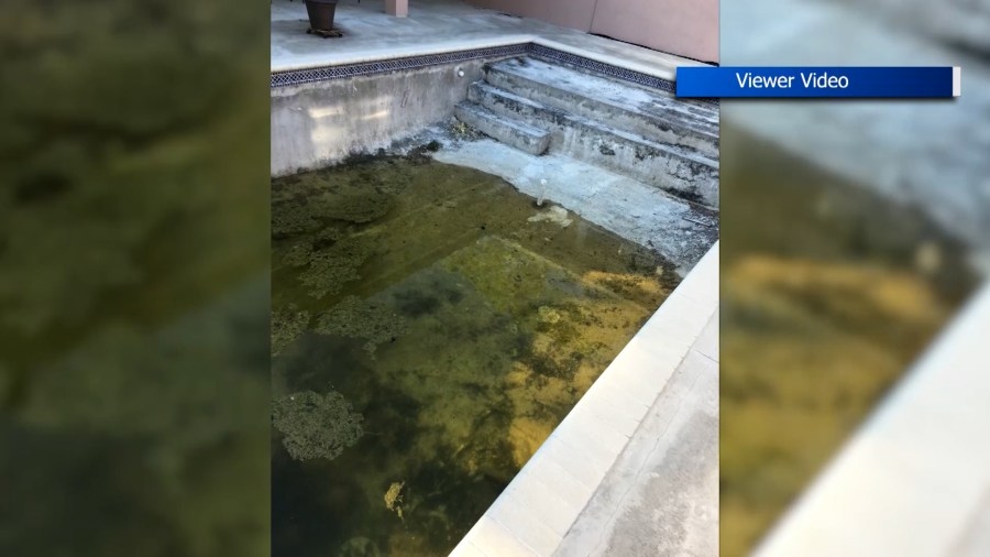 ‘I want him to know the pain': Victim reacts to judge sentencing Olympus Pools owner