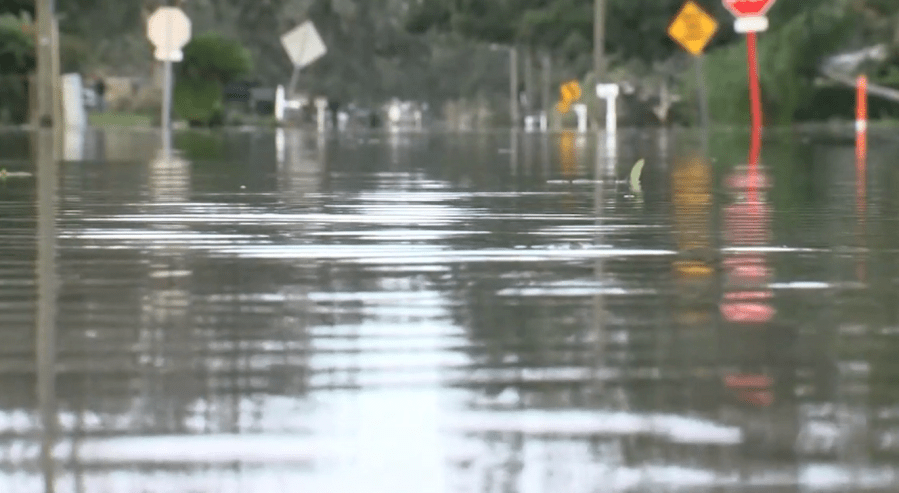 St. Pete lawmaker proposes bill to dive into wastewater, sewage spill concerns