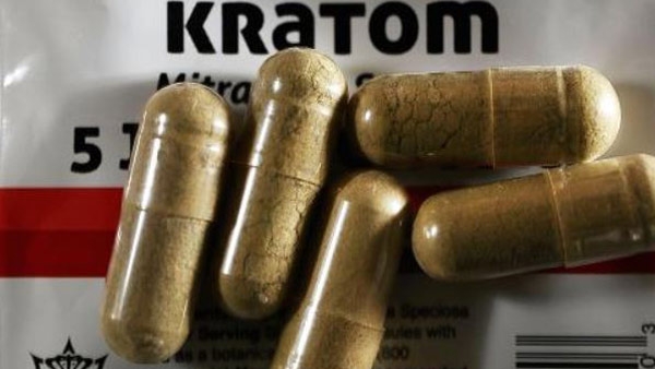 Tampa Bay lawmaker proposes additional Kratom regulations; advocates partially agree