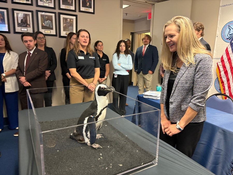 Penguins waddle the halls of Florida capitol seeking needed state funding