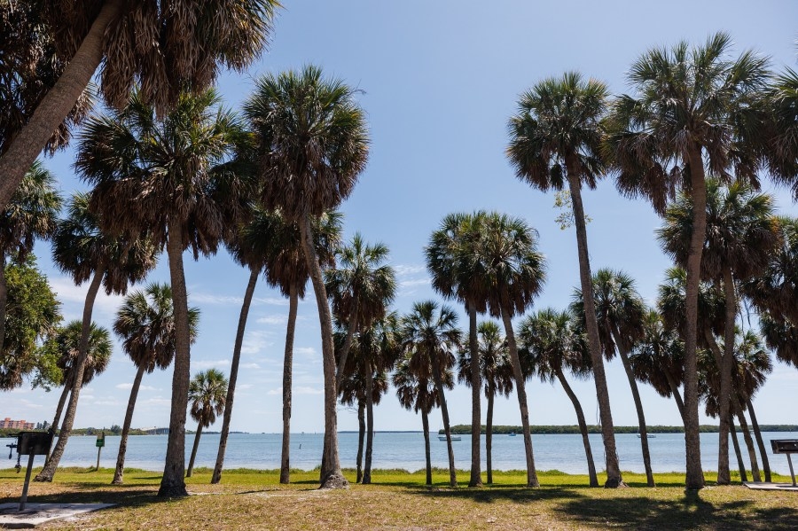 St. Pete ranks No. 1 in Florida, No. 14 nationally for parks