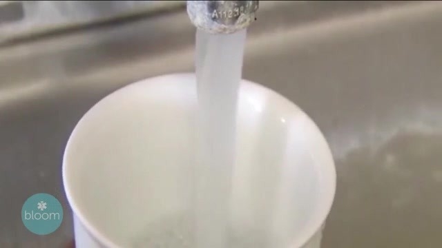 DeSantis signs fluoride ban bill in Dade City concerning dentists